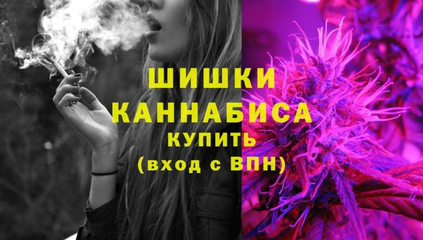 стаф Няндома